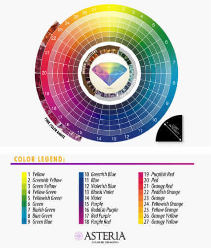  the color wheel 